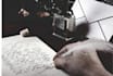 write youtube script, tiktok, shorts, or reels