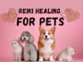 send strong effective reiki healing for your pet companion