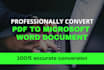 do any type of document to word and excel conversion