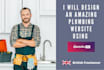 design an amazing plumber website on wordpress