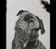 draw realistic portraits and animals