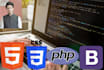 write custom html css javascript php code