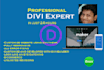 design wordpress website using divi theme and divi builder