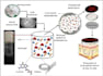 design eyecatching graphical abstracts and research posters