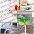 analyze and interpret gis and statistical data