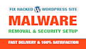 remove malware, clean virus, recover hacked wordpress website