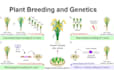 help you in plant breeder and genetics