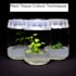 assist you in plant tissue culture