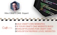 fix your craft cms or craft commerce website bugs