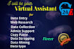 be your virtual assistant and data entry
