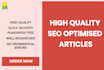 be your SEO blog writer, website content writer, and article writer