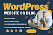 do a professional wordpress website or blog