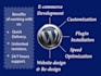 customize plugin, theme and complete website in wordpress