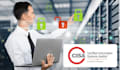 be your IT auditor and will do an IT system audit