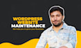 provide monthly wordpress website maintenance