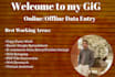 do data entry online and offline