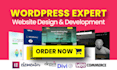 do website development, design, redesign, build wordpress, clone website