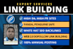 do link building with white hat SEO and manual backlinks