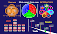 create infographic, flowchart, mindmap, miro board design