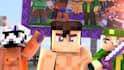 do a professional minecraft animation