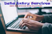 do the fastest data entry job professionally within 12 hours