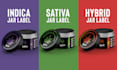 design cbd hemp label, jar label, and cannabis label