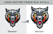 convert your sketch or existing logo to vector