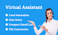 be your virtual assistant for prospect list building