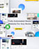 develop an autopilot, autoblog wordpress website for any niche