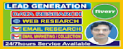 provide b2b lead generation, targeted email lists, business leads