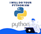 do your python assignments and projects