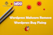 remove malware from wordpress and fix up wp bugs