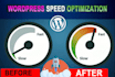 increase wordpress speed optimization with gtmetrix