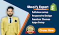 setup your shopify dropshipping store, or website