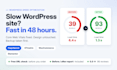 do wordpress speed optimization for core web vitals