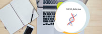 write a scientific article for your blog or journal