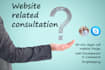 provide 30 mins wordpress related consultation via zoom call