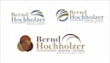 design life coaching and consulting branded logo