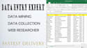 do fastest data entry and web research professionally