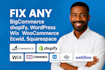 fix any shopify, wordpress, woocommerce, wix, bigcommerce, ecwid issues