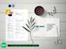 do professional resume design and CV design