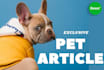 write best selling SEO pet article and pet blog in 24 hours