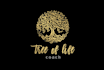 design personal professional coach logo