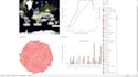 create tableau dashboards and visualizations