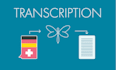 transcribe any file in german or swiss german