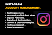 do your instagram growth and management organically