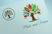 design logo and favicon