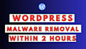 remove malware and optimize effective wordpress security