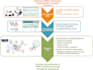 do graphical abstracts and infographics