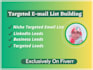 do data entry, lead generation, and niche targeted email list building